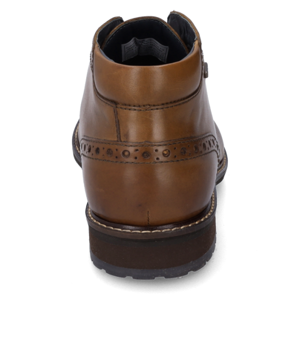 Jasper 51 - Image 4