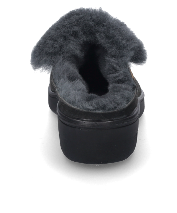 Tara 05 - Image 4
