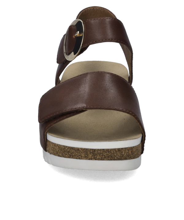 Quinn 16 - Image 5