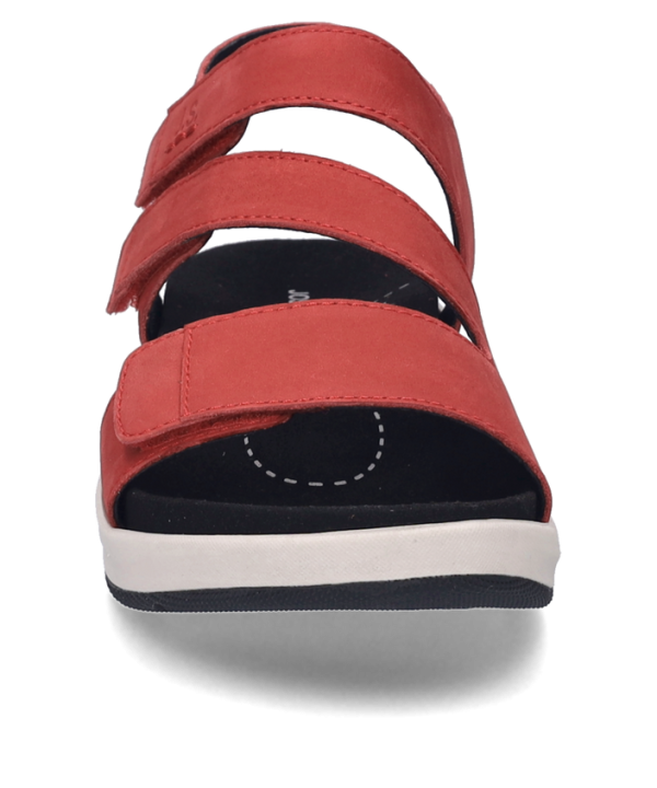 Estelle 03 - Image 5