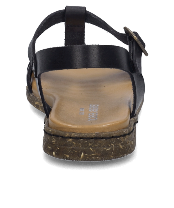 Fabricia 01 - Image 4