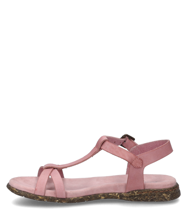 Fabricia 01 - Image 3