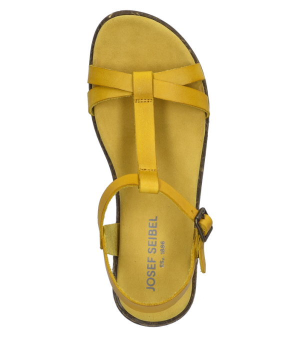 Fabricia 01 - Image 2