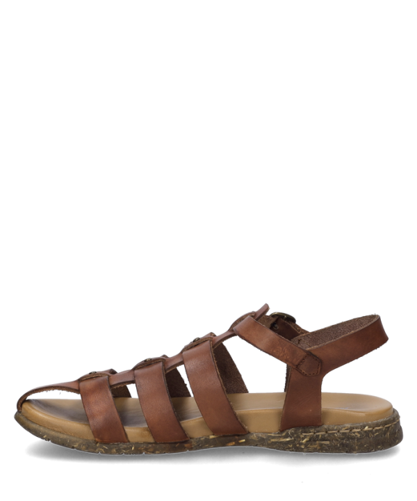 Fabricia 04 - Image 2