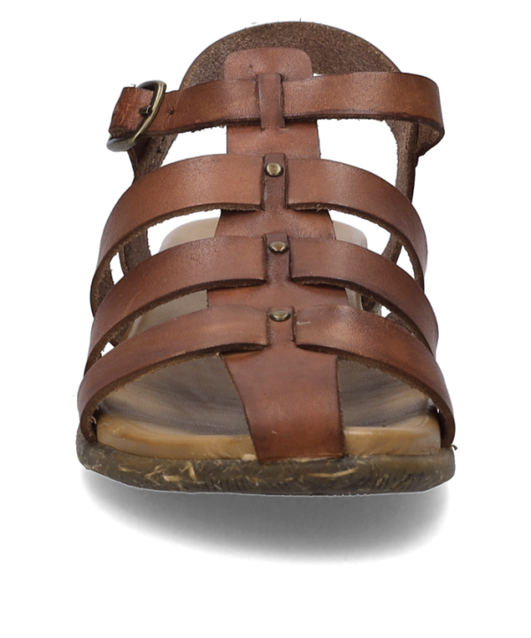 Fabricia 04 - Image 4