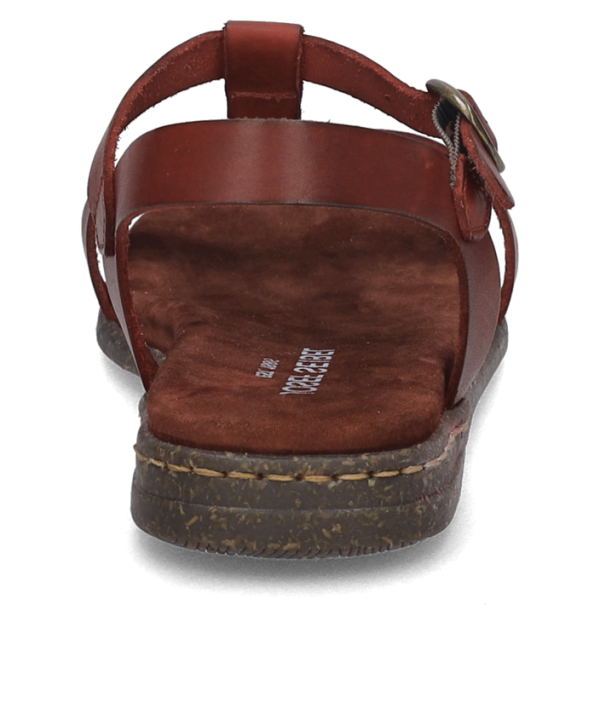 Fabricia 01 - Image 7